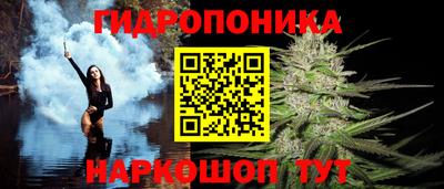амф Камышлов