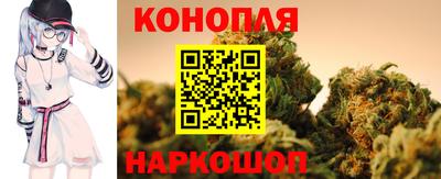 амф Камышлов