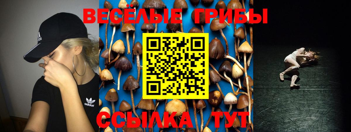Псилоцибиновые грибы Psilocybine cubensis Южноуральск